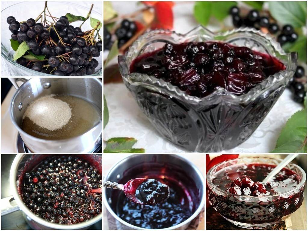 Наливки из черноплодной рябины в домашних условиях — 20 рецептов с пошаговым приготовлением