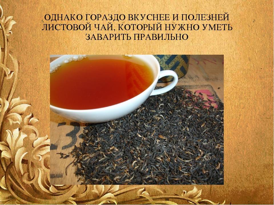 Белый чай, его польза и вред