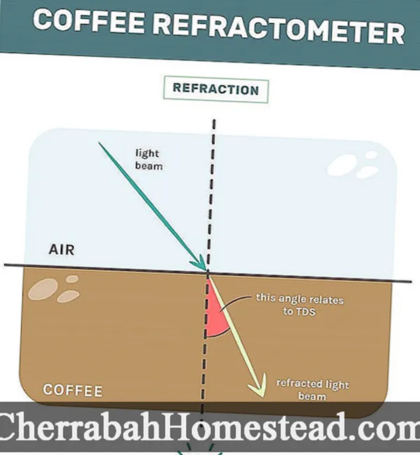 Рефрактометр для кофе
