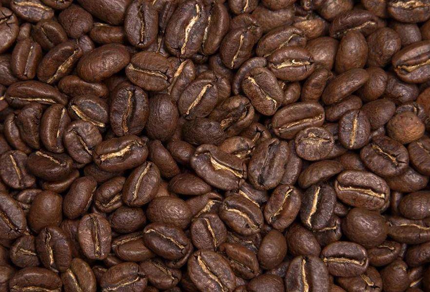 Характеристика арабики Катурра (Caturra)