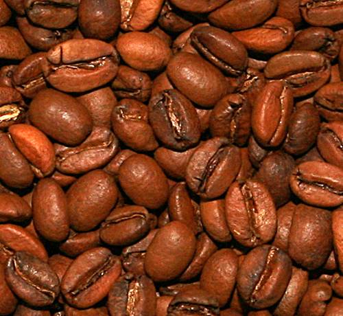 Лучшие сорта эфиопского кофе - сад и огород