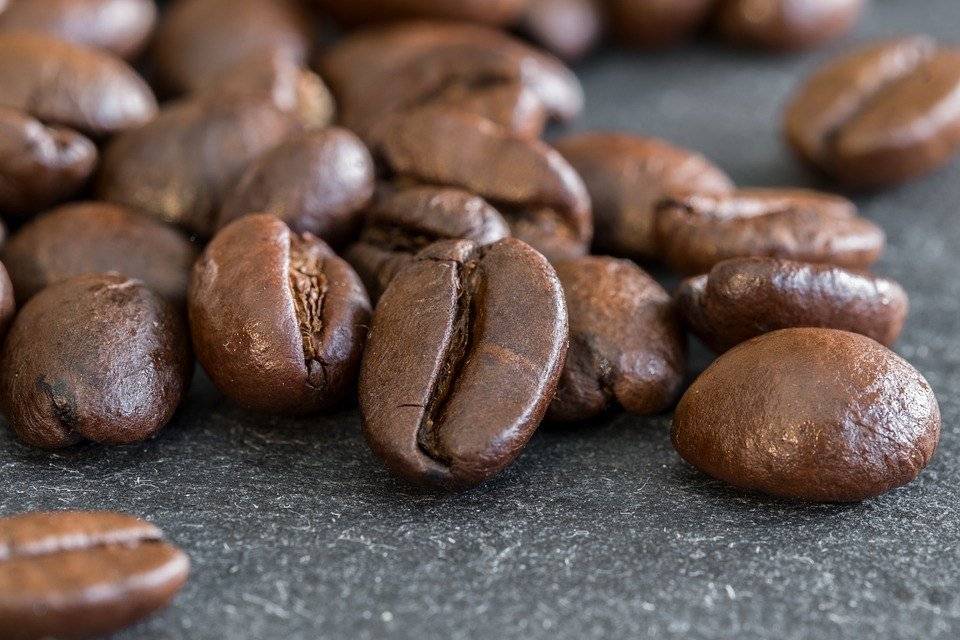 Какой сорт кофе лучше: арабика или робуста. отличительные особенности, полезные свойства и вкусовые качества