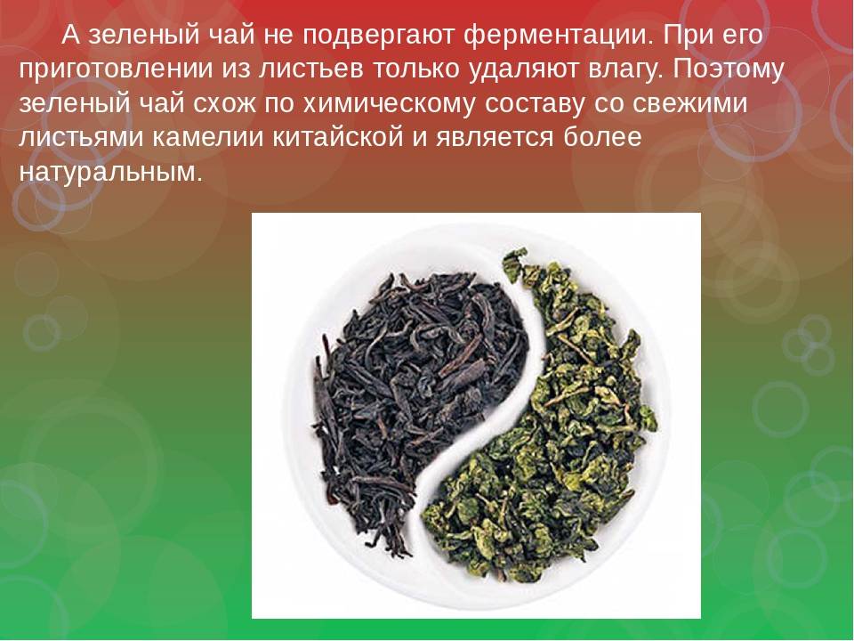 Какой чай полезнее ферментированный или неферментированный