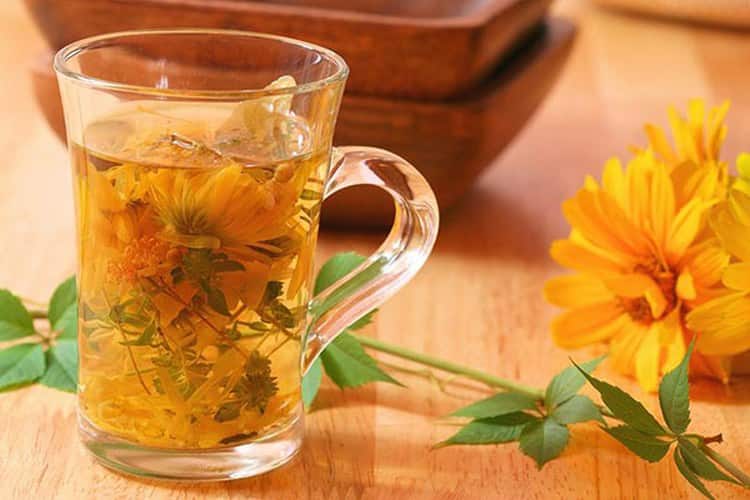 Польза чая с календулой и рецепты приготовления