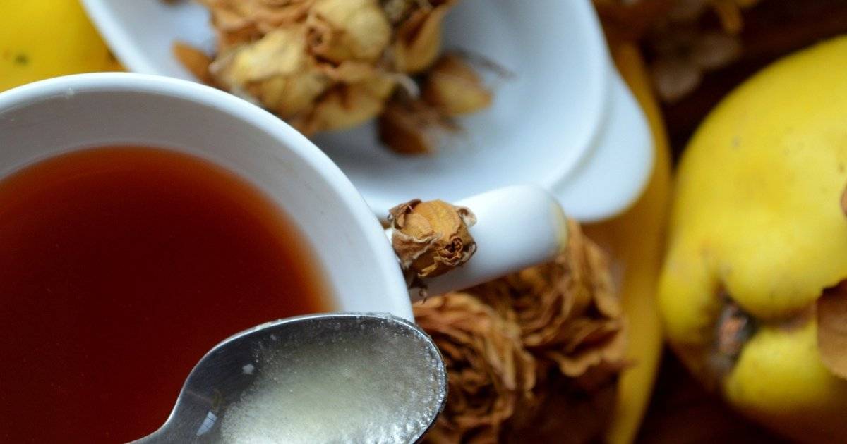 Чай с айвой, полезные свойства, рецепты приготовления