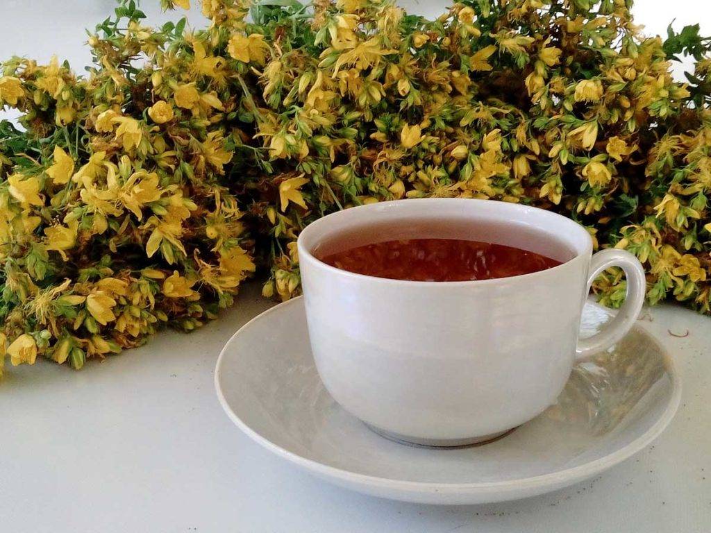 Чай с чабрецом — рецепты, польза и противопоказания