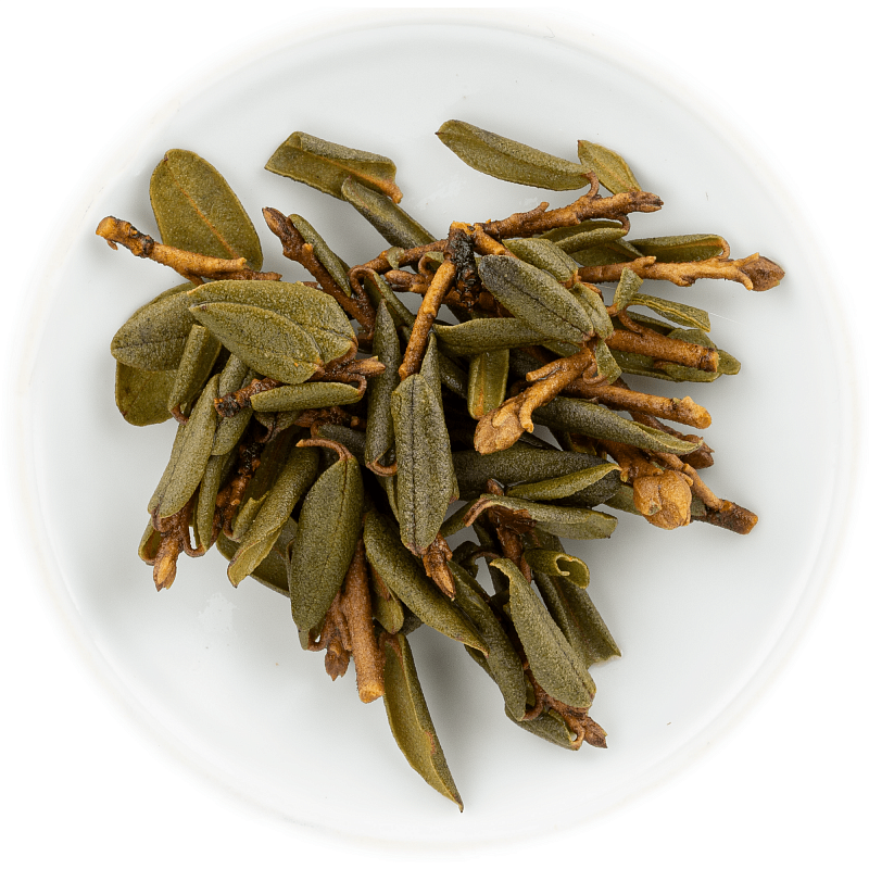 Чай саган дайля: польза и вред, от чего помогает? рецепты