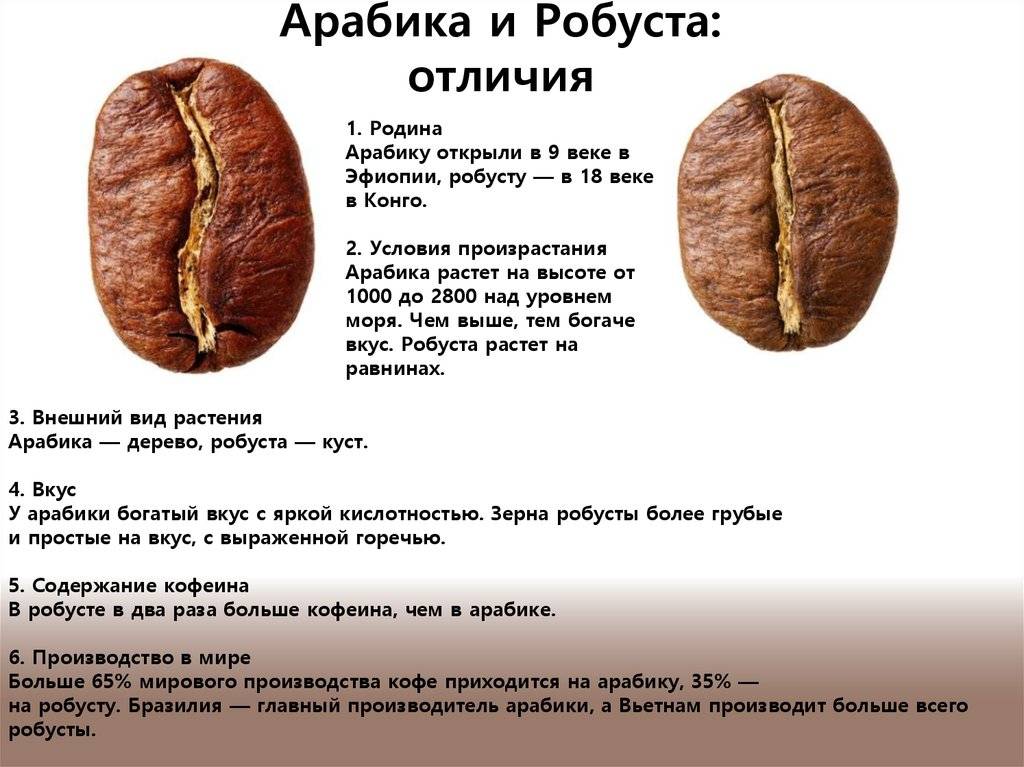 Характеристика арабики Катуаи (Catuai)