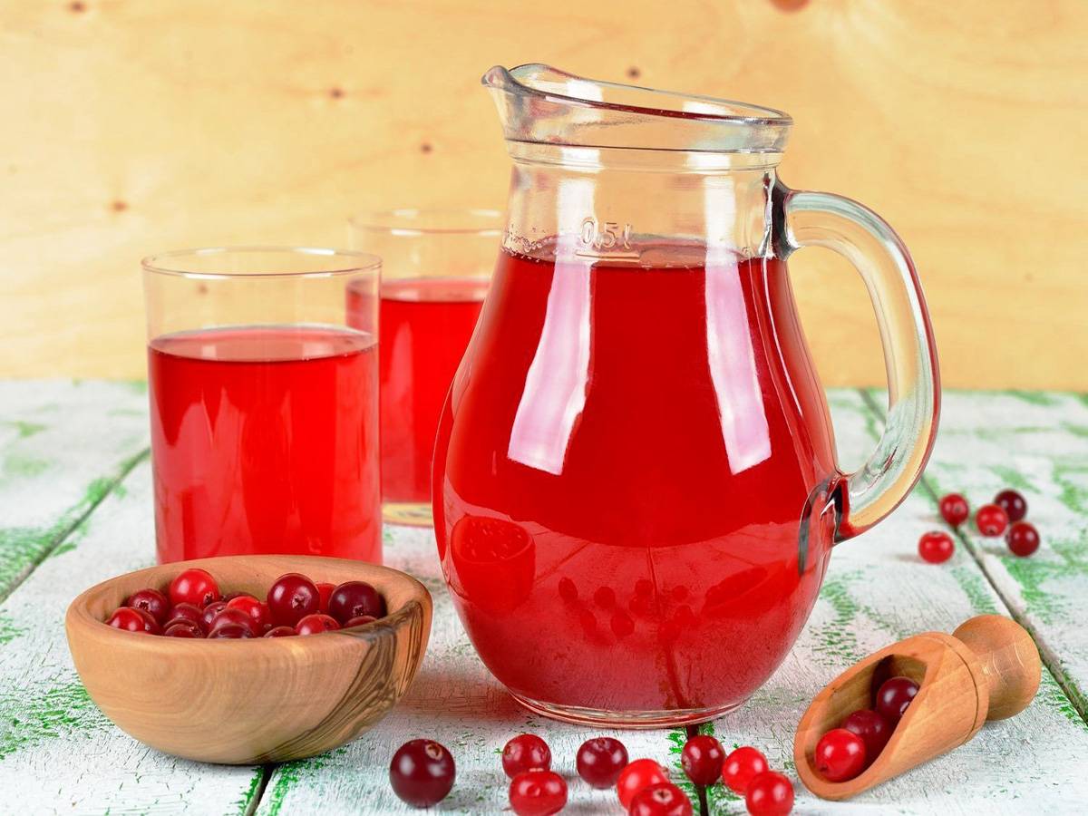 Брусничный напиток: польза брусники, основные рецепты варки компота из свежей и замороженной ягоды