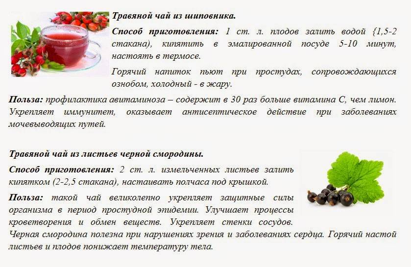 Шиповник для нашего здоровья: самые витаминные виды и полезные рецепты на supersadovnik.ru
