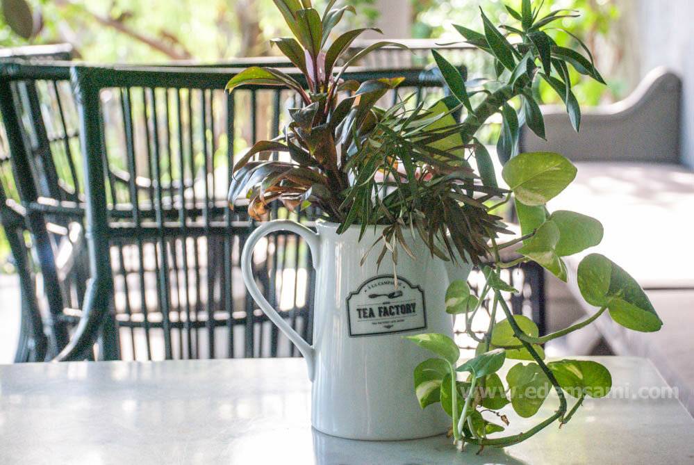 Тайский зеленый чай