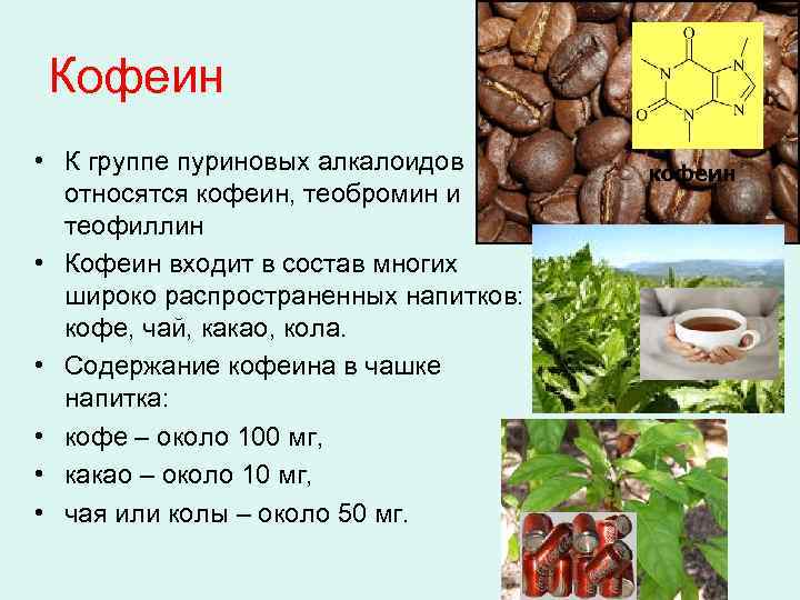 Из чего состоит кофе? | еда и кулинария | школажизни.ру