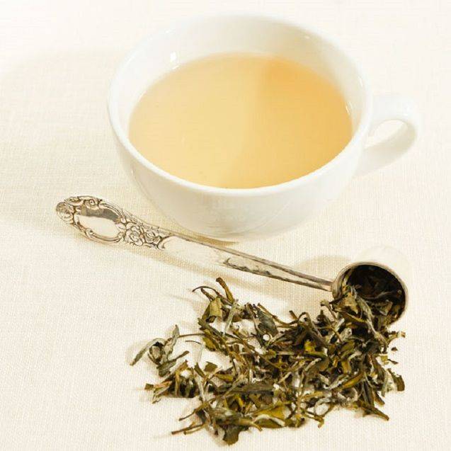 В чем польза белого чая?