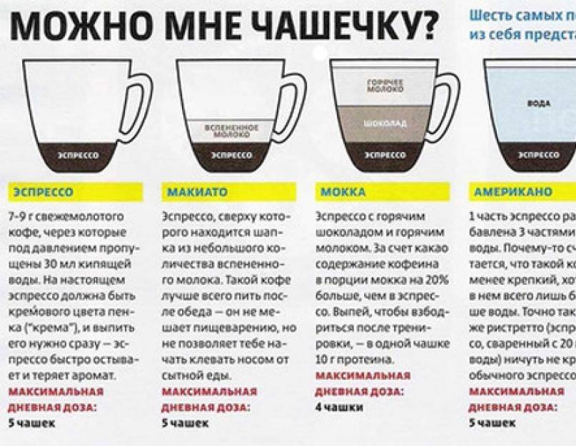 Сколько раз в день можно пить кофе: норма и последствия