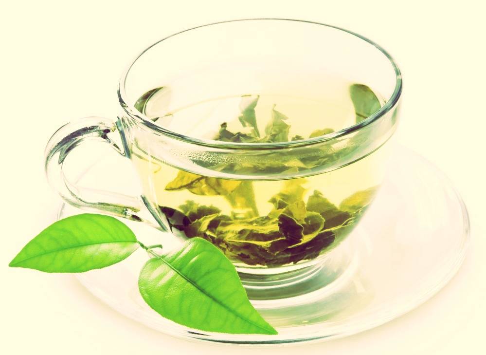 Чай с бузиной: применение целебного напитка