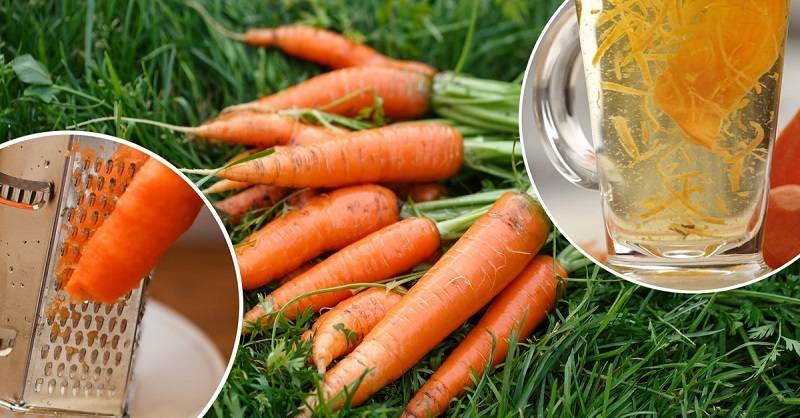 Приготовление и польза морковного чая