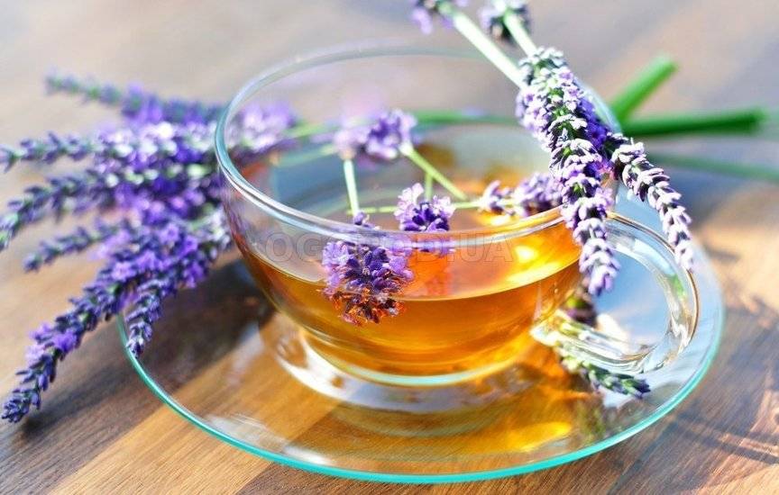 7 рецептов ароматного чая с шалфеем