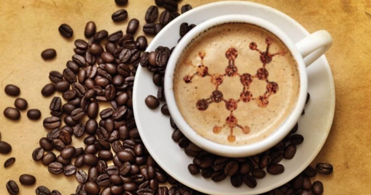 Кофе и холестерин: повышает или понижает; выбор безопасного напитка