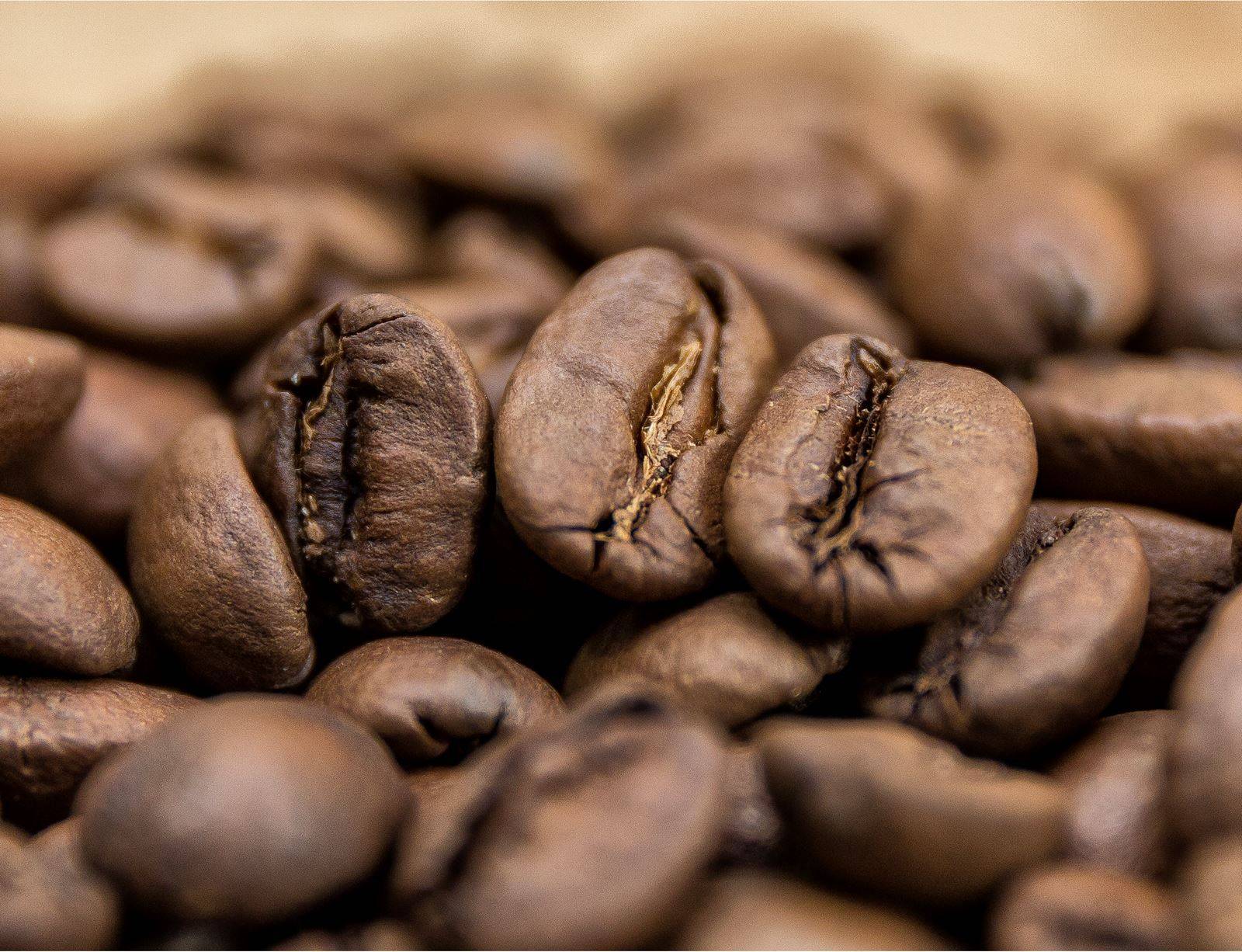 Характеристика сорта арабики Бурбон (Arabica Bourbon)