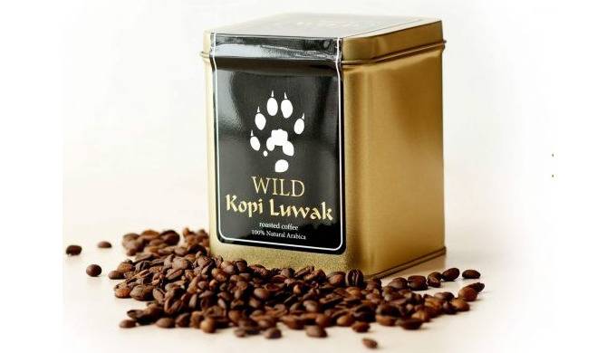Kopi luwak – один из самых дорогих сортов кофе в мире