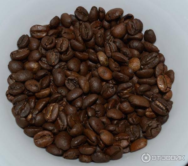 Кофе мокко: сорт зерен и напиток