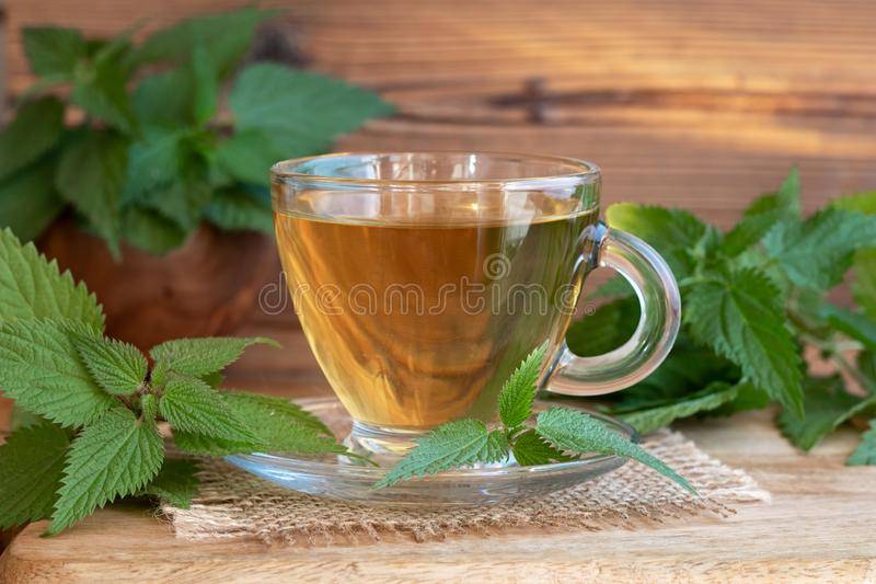 Чай из крапивы: польза и вред для мужчин, женщин, как сделать, рецепты, как сушить, противопоказания, в каких случаях принимать, отзывы