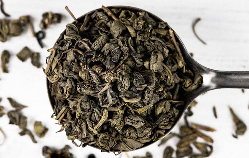 Чай кудин: происхождение и виды, польза и противопоказания, как правильно заваривать