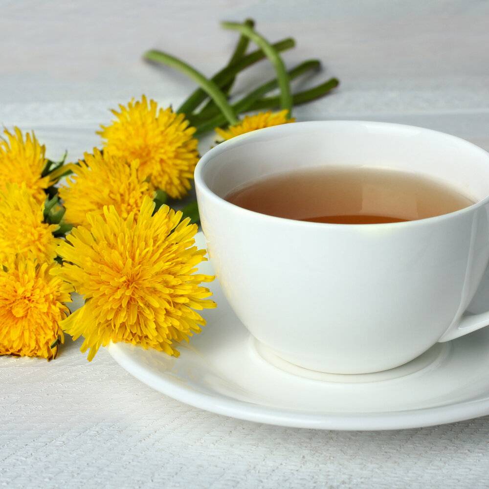 Чай из одуванчика: рецепты приготовления, полезные свойства, правила применения