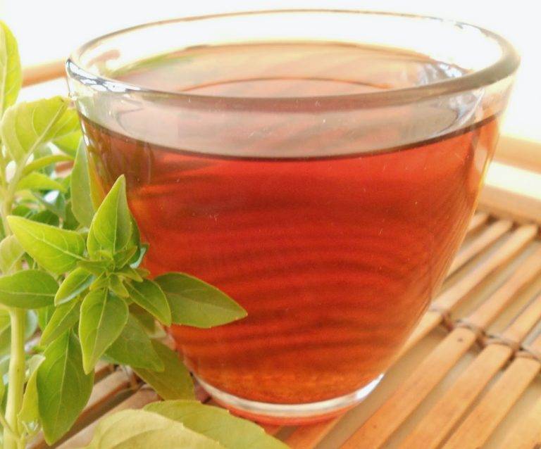 Чай из эвкалипта. польза и вред этого напитка