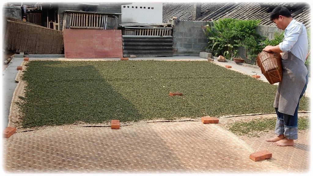 Описание чая Би Ло Чунь и его приготовление