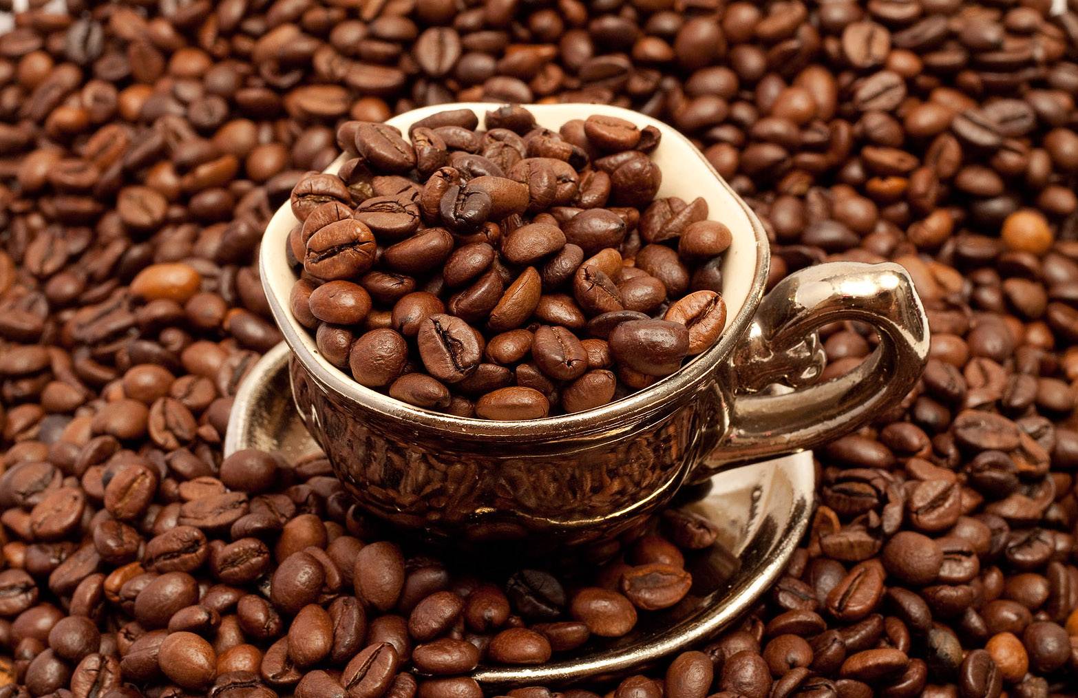 9 дешевых кофе элитного качества 2022 года, которые однозначно стоит покупать