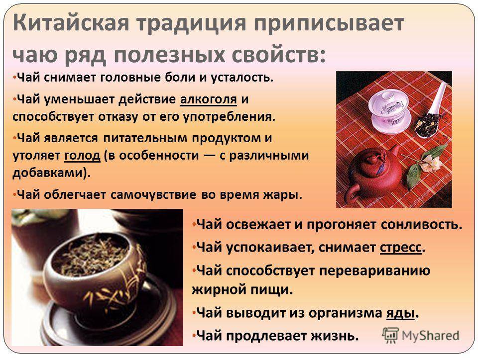Татарский чай: состав, как заваривать, польза и вред