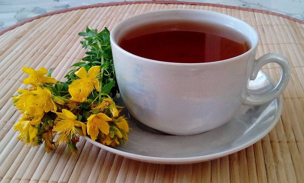 Чай из зверобоя: польза и вред, свойства, противопоказания и рецепты, как сушить