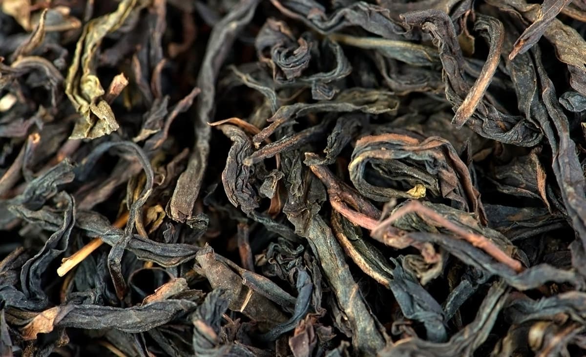 Свойства чая Да Хун Пао и как его правильно заваривать
