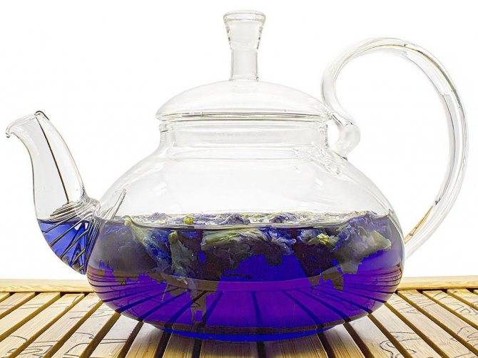 Синий чай из тайланда: полезные свойства