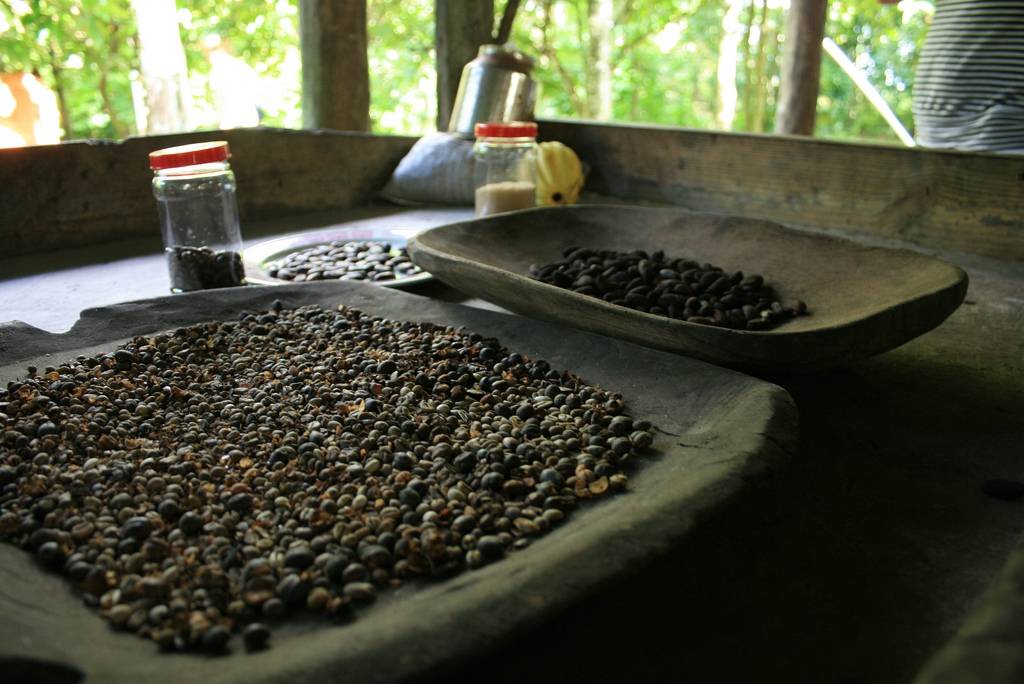 Какой кофе купить в доминикане? обзор »  татьяна бедарева