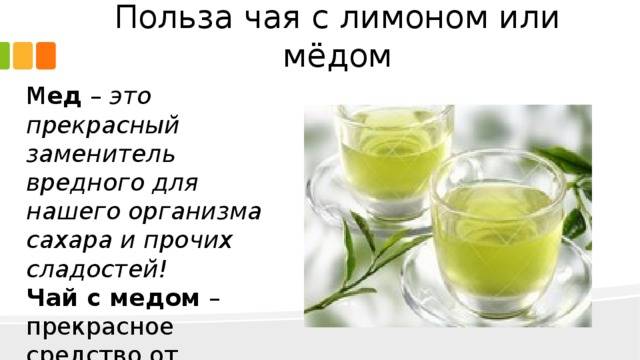 Зеленый чай полезнее черного?