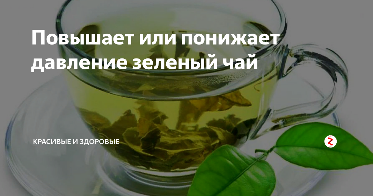 Горячий зеленый чай и давление - повышает или понижает, как правильно пить