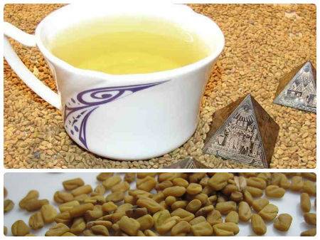Желтый египетский чай хельба — полезные свойства, как заваривать