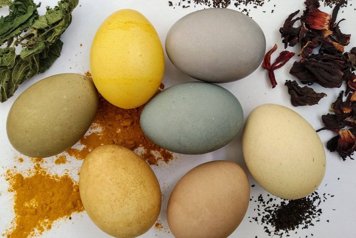 Как покрасить яйца на пасху. натуральные красители - портал обучения и саморазвития