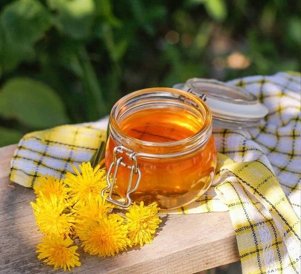 Мед из одуванчиков - польза и вред для организма мужчины и женщины. полезные свойства и противопоказания