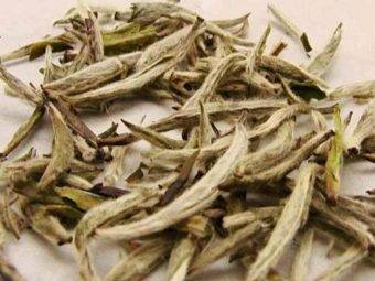 Цейлонский чай – особенности, основные виды и польза напитка из Шри-Ланки
