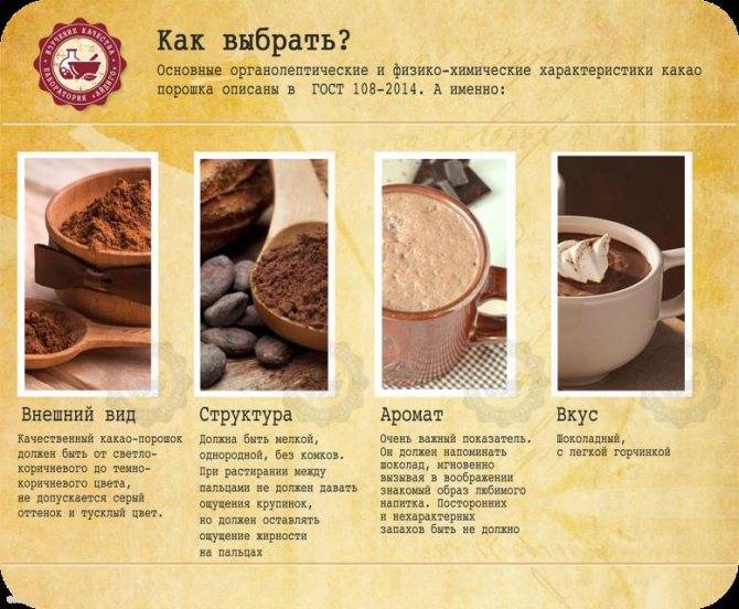 Чем полезно какао? – список плюсов