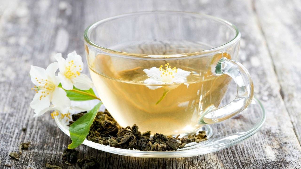 Польза жасминового чая. как правильно заваривать чай с жасмином.