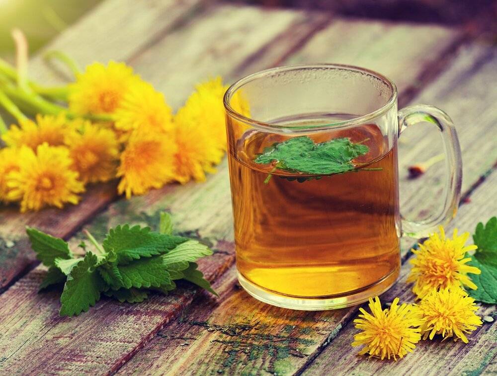 Как правильно заваривать чай из одуванчика: из цветков, листьев, корней, как пить. одуванчиковый чай: польза и вред, как употреблять напиток – дачное дело