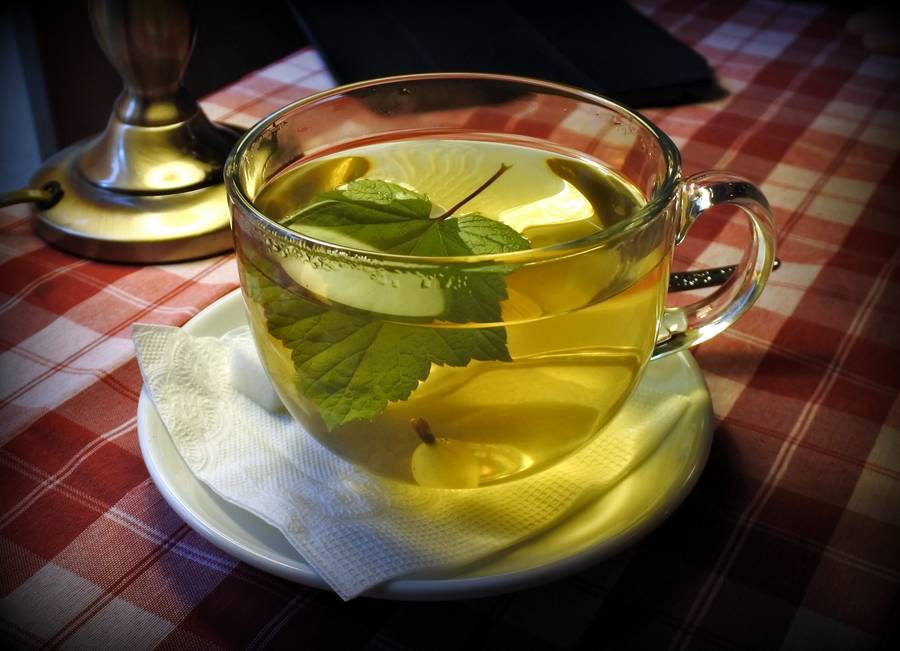 Чай из листьев крыжовника полезные свойства и противопоказания