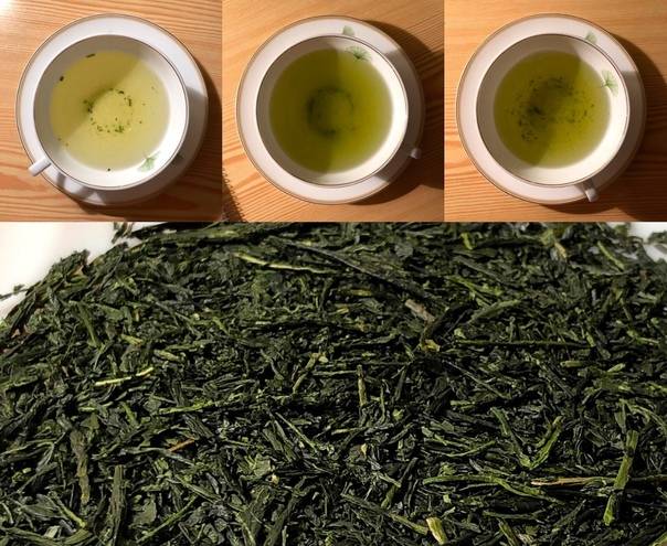 Чай гекуро (жемчужная роса, гиокуро): свойства, вкус, аромат, правила приготовления