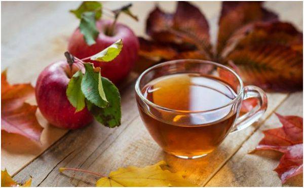 Рецепты яблочного чая и его польза