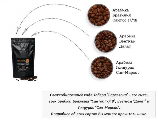 Выращивание кофе арабика в домашних условиях – подкормки, подбор грунта, уход за растением