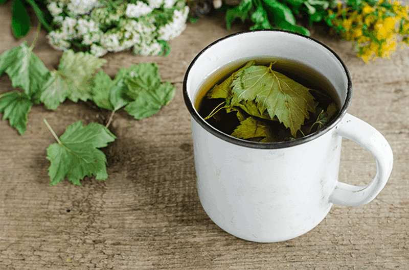 Чай из веточек вишни, польза и вред для организма